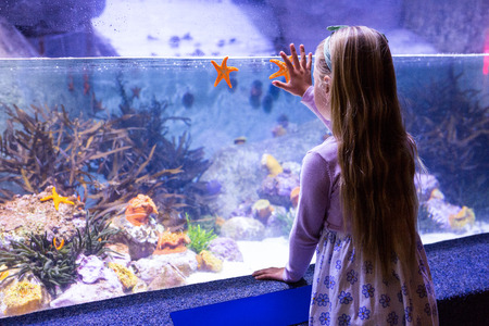 Young woman looking at starfish-tank at the aquariumの写真素材