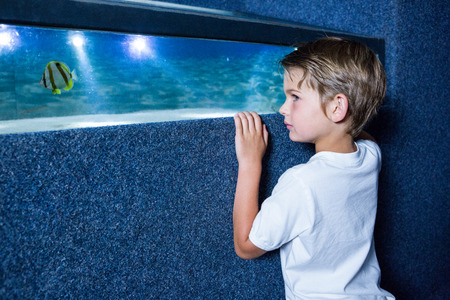Young man looking at fish in a small tank at the aquariumの写真素材