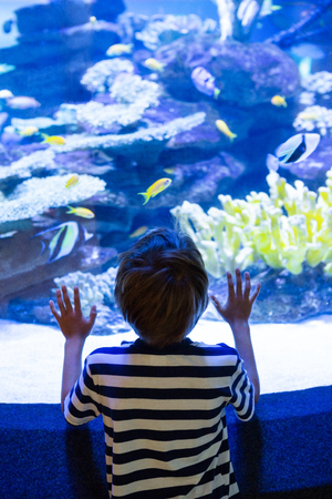 Young man touching a fish-tank behind camera at the aquariumの写真素材