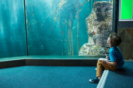 Young man drawing a fish in a tank at the aquariumの写真素材