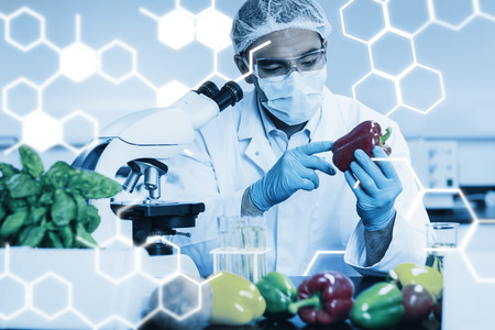 Science graphic against food scientist examining a pepperの写真素材