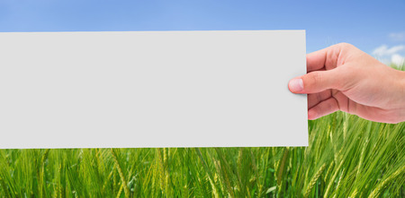 Hand showing card against green meadowの写真素材