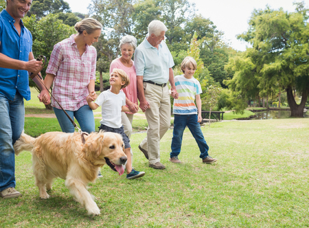 Happy family in the park with their dog on a sunny dayの写真素材