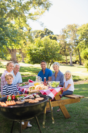 Happy family having picnic in the park on a sunny dayの写真素材