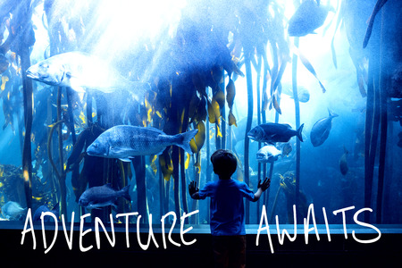 adventure awaits against young man touching a tank with big fish
