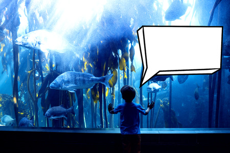 Speech bubble against young man touching a tank with big fishの写真素材