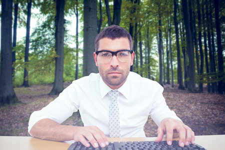 Businessman working at his desk against tree trunks in the forest