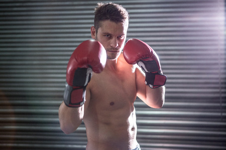 Portrait of serious muscular boxer in crossfit gymの写真素材