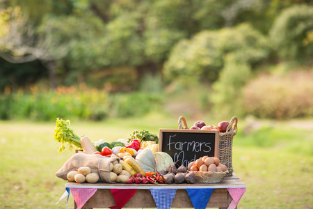 Table with locally grown vegetables in the parkの写真素材