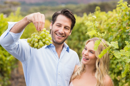 Young happy couple looking at grapes in the grape fieldsの写真素材