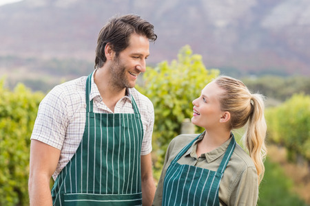 Two young happy vintners looking at each other in the grape fieldsの写真素材