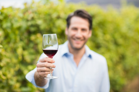 Young happy man smiling at camera and holding a glass of wine in the grape fieldsの写真素材