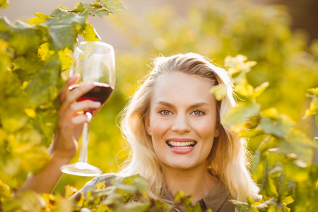 Young happy woman holding a glass of wine in the grape fieldsの写真素材