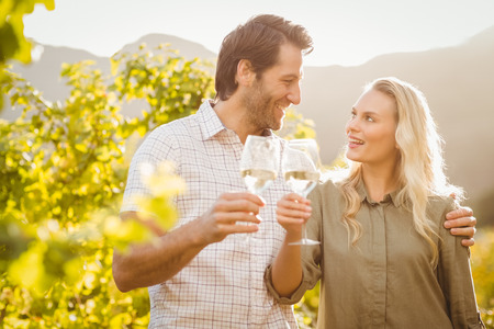Young happy couple holding glasses of wine in the grape fieldsの写真素材