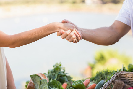 Close up view of a farmer and customer shaking handsの写真素材