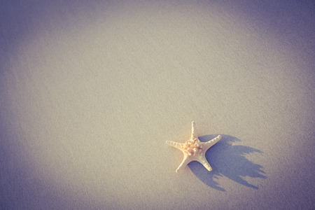 Starfish on the sand on beautiful seeの写真素材