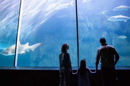 Happy family looking at the fish tank at the aquariumの写真素材