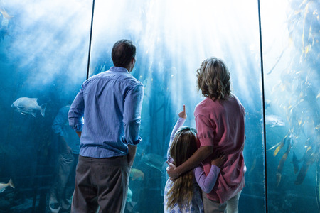 Familly looking at fish tank at the aquarium