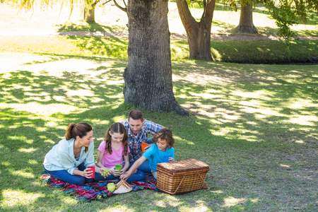 Happy family on a picnic in the park on a sunny dayの写真素材