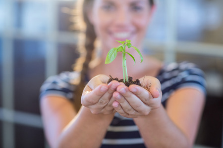 Brunette holding green sprouts in the officeの写真素材