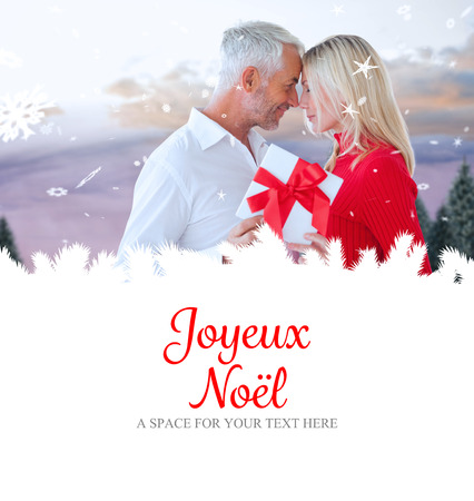 loving couple with gift against joyeux noelの写真素材
