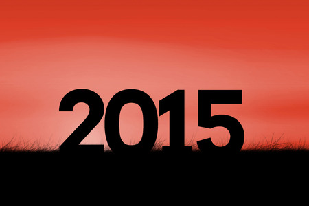 2015 against red sky over grassの写真素材