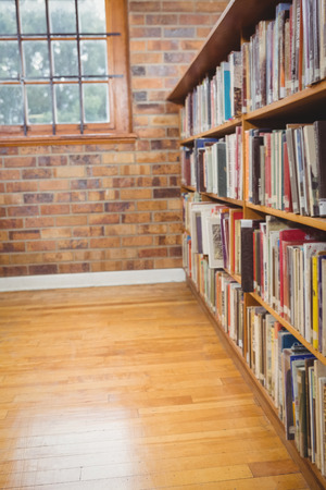 Four Shelves full of books at the elementary schoolの写真素材