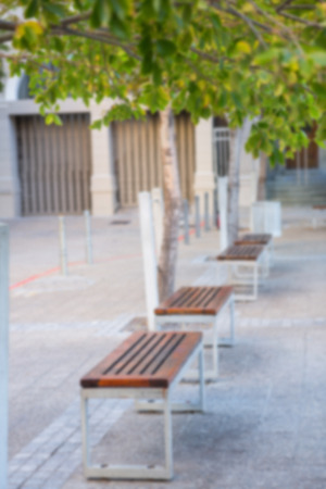 Benches and trees in the cityの写真素材