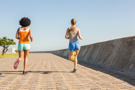 Rear view of two young women jogging together at promenadeの写真素材