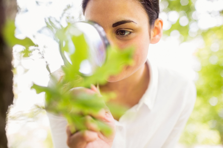 Beautiful brunette looking at plant through magnifying glass on a sunny dayの写真素材