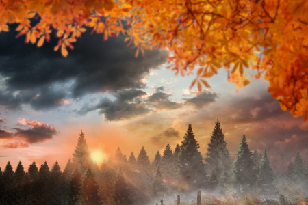 Autumn leaves against country sceneの写真素材