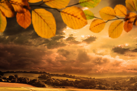 Autumn leaves against country sceneの写真素材