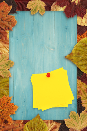 Sticky note with red pushpin against autumn leaves on woodの写真素材