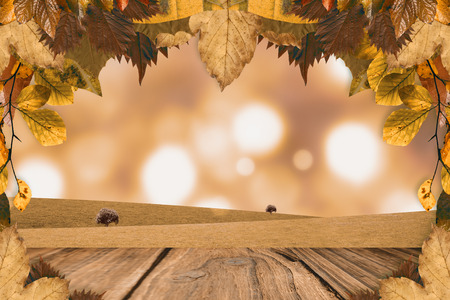 Autumn leaves pattern against close-up of wooden plankの写真素材