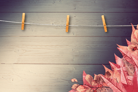 Autumn leaves pattern against shadow on wooden boardsの写真素材