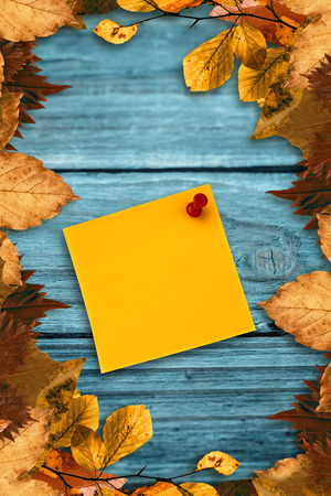 Digital image of pushpin on yellow paper  against autumn leaves patternの写真素材