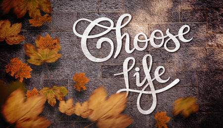 Autumn leaves against greyの写真素材