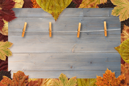 Autumn leaves pattern against bleached wooden planks backgroundの写真素材