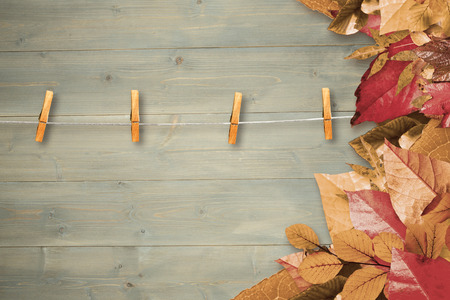 Autumn leaves pattern against bleached wooden planks backgroundの写真素材