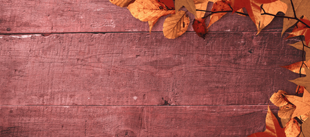 Autumn leaves pattern against overhead of wooden planksの写真素材