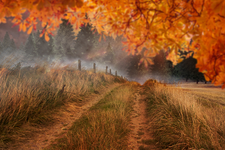 Autumn leaves against country sceneの写真素材