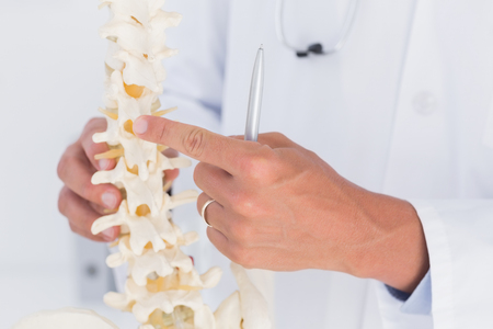 Doctor showing anatomical spine in clinicの写真素材