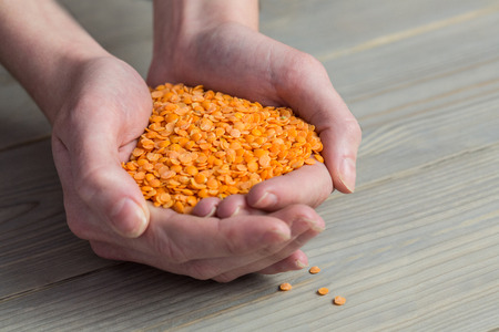 Woman showing handful of red lentils in close upの写真素材