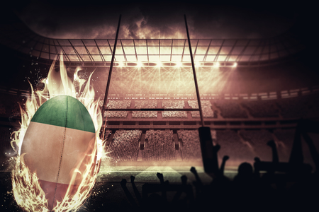Silhouettes of football supporters against rugby pitchの写真素材