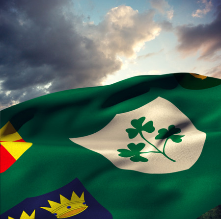 Flag of the IRFU with the centenary logo against blue and orange sky with cloudsの写真素材