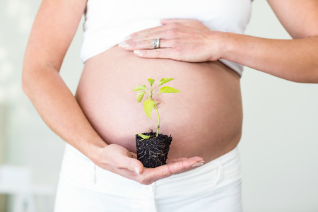 Midsection of pregnant woman with new plant in palmの写真素材
