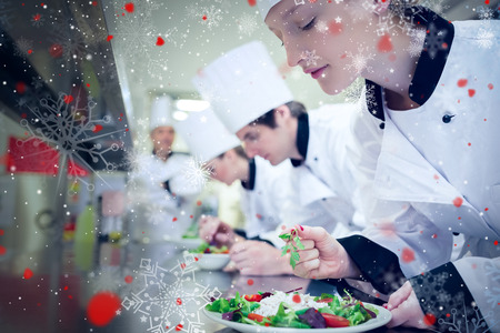 Snow against chef finishing her salad in culinary classの写真素材