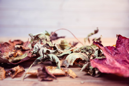 Autumn leaves on desk with copy spaceの写真素材