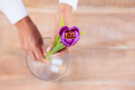Woman putting a flower in a vase on wooden deskの写真素材