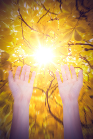 hands against branches and autumnal leavesの写真素材